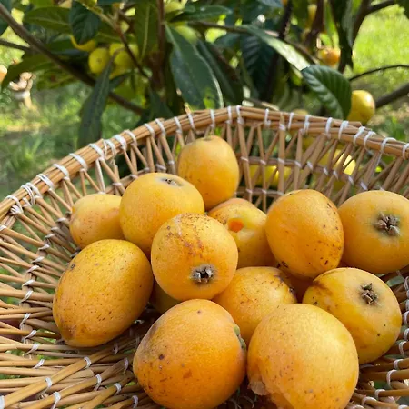 Bio&b Acquaviva 4* 오트란토