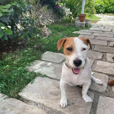 Bio&b Acquaviva B&B 4*