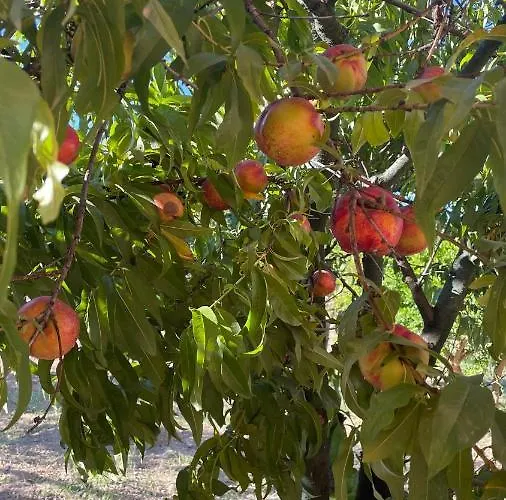 Bio&b Acquaviva Alojamento de Acomodação e Pequeno-almoço 4*