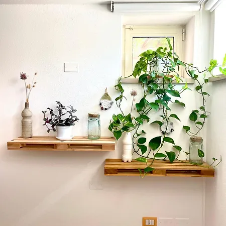 Bio&b Acquaviva Bed & Breakfast *