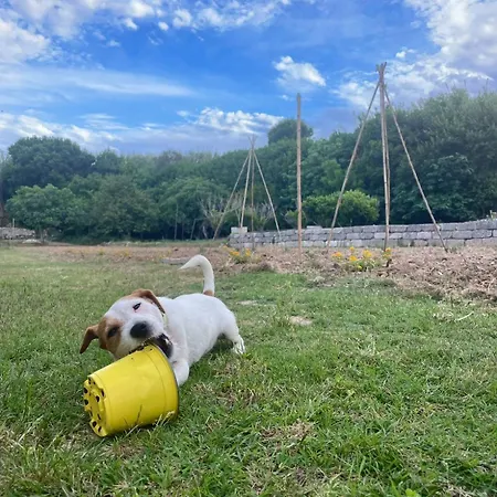 Bio&b Acquaviva Oda ve Kahvaltı