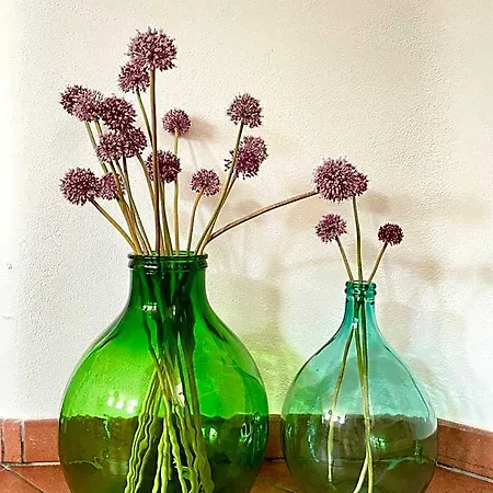 Bio&b Acquaviva Bed & Breakfast 4*