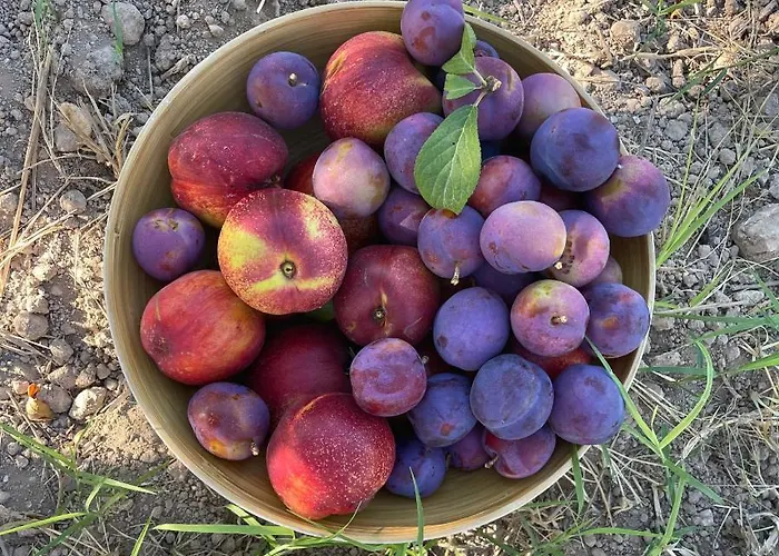 Bio&b Acquaviva Отель типа 