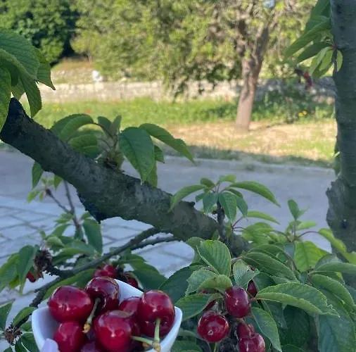 Bed & Breakfast Bio&b Acquaviva Otranto