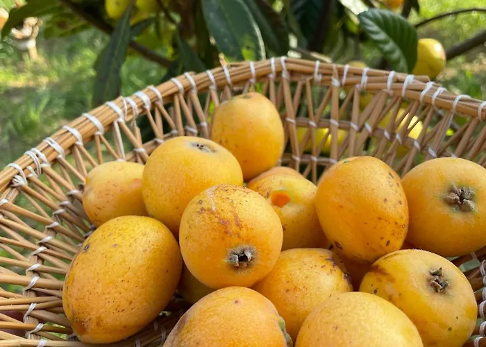 Bio&b Acquaviva 4* Otranto