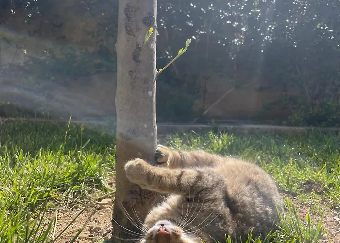 Bio&b Acquaviva Отель типа 