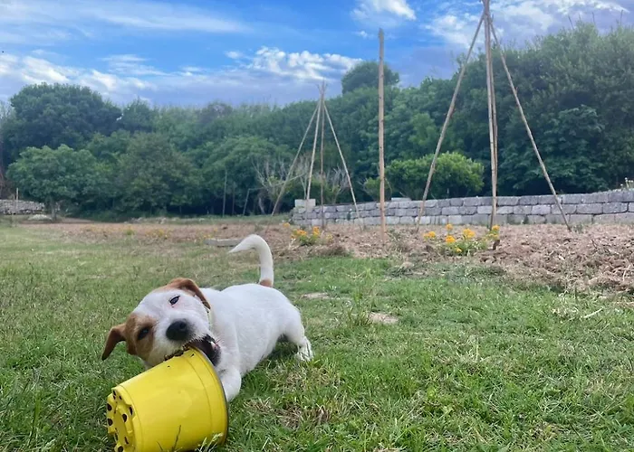 Bio&b Acquaviva Bed & Breakfast