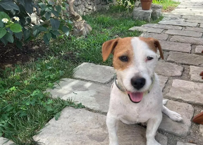 Bio&b Acquaviva Bed & Breakfast 4*